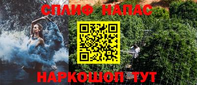 мдпв Пугачёв