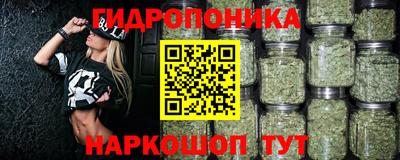мдпв Пугачёв