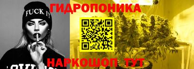 гашик Пыть-Ях