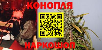 гашик Пыть-Ях