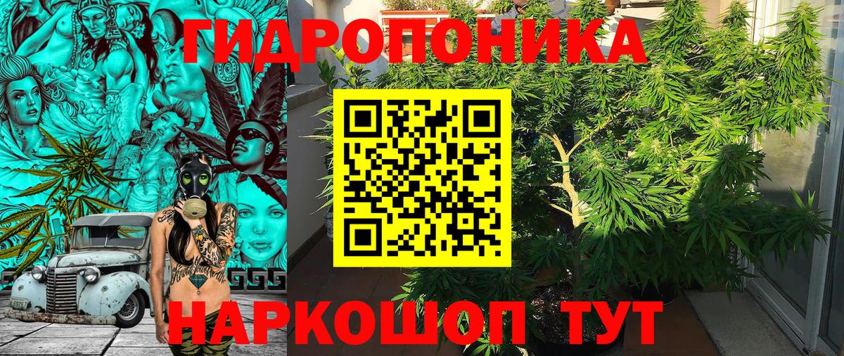 Конопля LSD WEED Сафоново